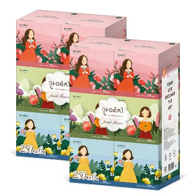 한예지 캐릭터 MINI 미용티슈 250매 6입 (2팩)