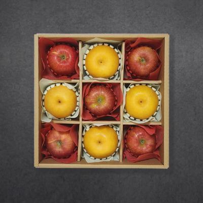 [산지직송] 프리미엄 사과배 선물세트(5과+4과)