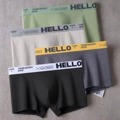 헬로우 남성 사각 드로즈 팬티 8p