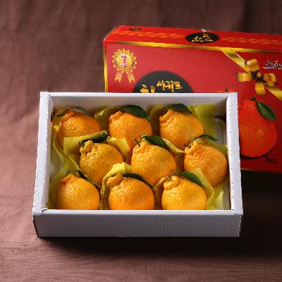 [26년설] [선물세트]한라봉세트3kg(11~12개입)