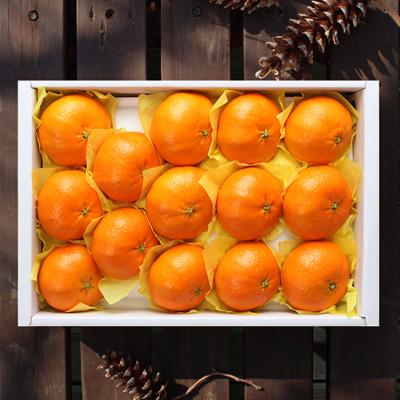 [26년설] [선물세트]레드향세트3kg(13~17개입)