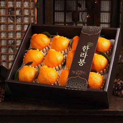 [26년설] [선물세트] 정다운 한라봉세트3.4kg(12개입)