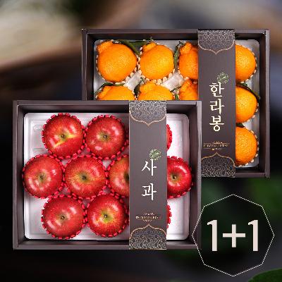 [26년설] [기쁨두배]사과세트1박스(10개)+한라봉세트1박스(12개)