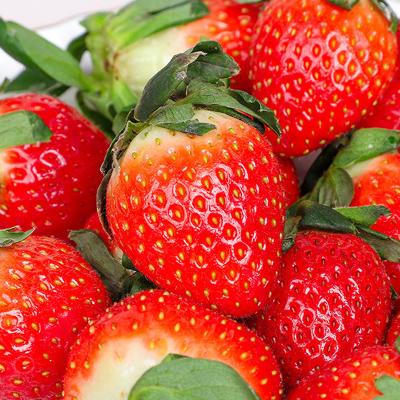 당도 좋은 국내산 논산 설향딸기 700g·750g (상·특등급 선택)