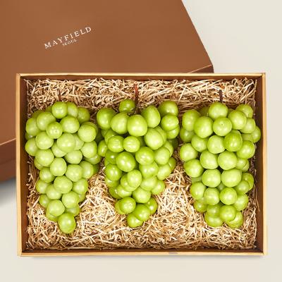 [메이필드호텔]골든후르츠 샤인머스캣세트 B 3~4수/3kg