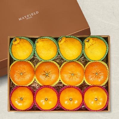 [메이필드호텔]골든후르츠 제주만감류세트 3선(한라봉4+레드향4+천혜향4)12입/4.5kg 특과