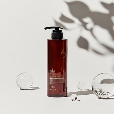 CH6 스칼프 싹 샴푸 520ml