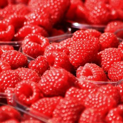 26년 프리미엄 고당도 청도 생과 산딸기 250g 