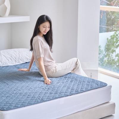 [HAAN] 한경희 EMF 전자파 차단 워셔블 탄소매트 퀸 KJ-5678S