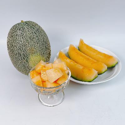 26년 국내산 고령 달디단 고당도 하미과 메론 프리미엄 멜론 300~650g